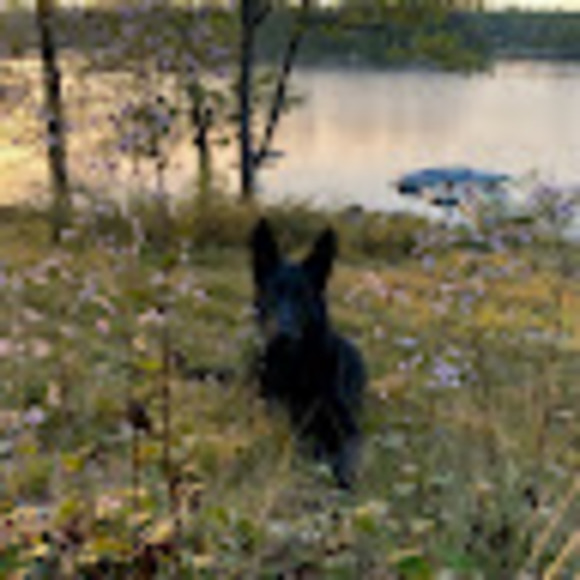 Meet your Posher, David - Picture 1 of 1